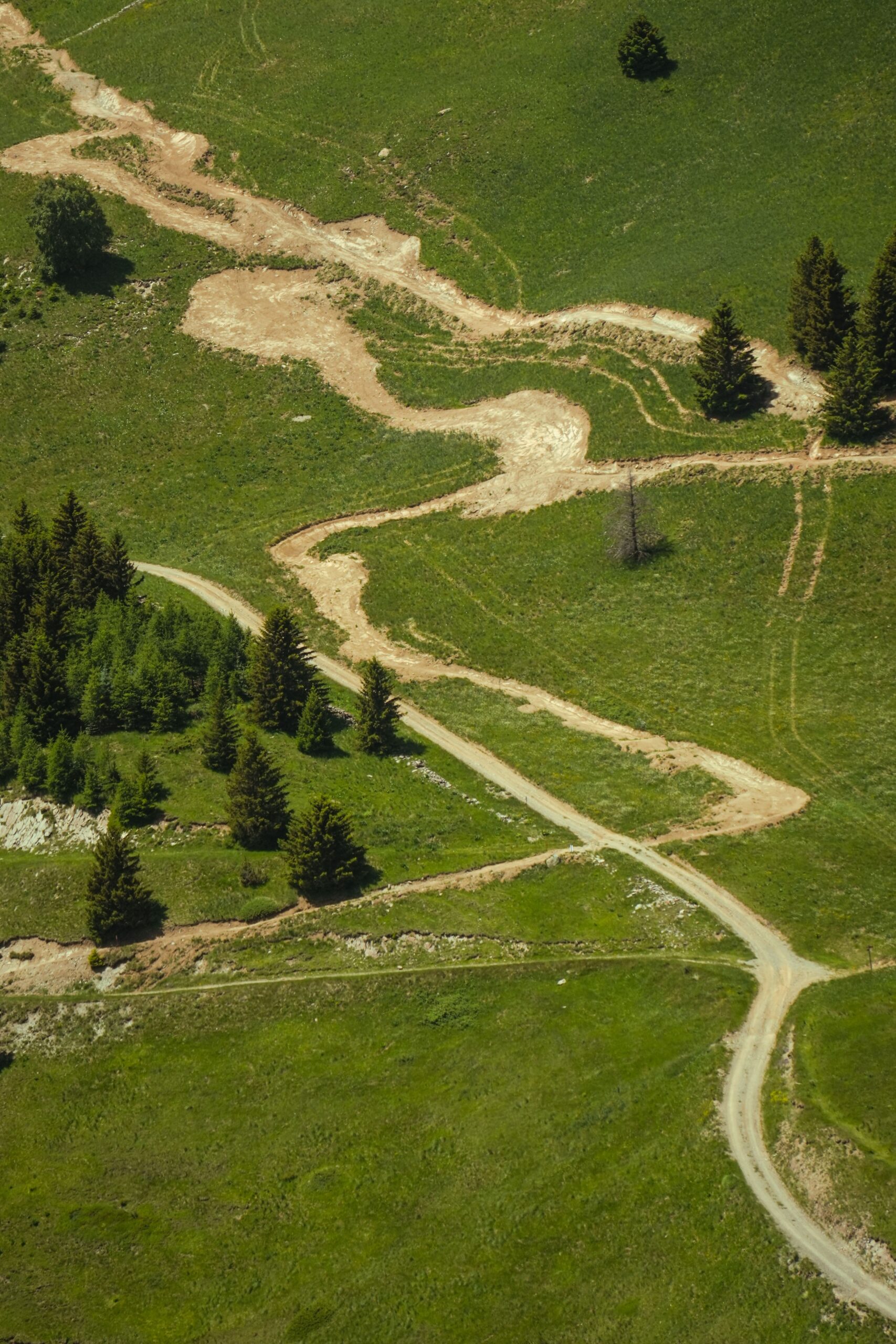Deux chemins différents dans une forêt, symbole des parcours distincts en phobie scolaire selon l'enfant